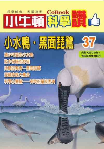 小水鴨.黑面琵鷺 [有聲書] 出版公司:小牛頓科學教育 作者:小牛頓編輯團隊 類型:親子童書-兒童學習 PDF電子書 繁體中文版