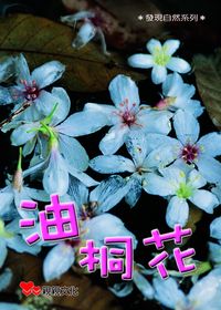 油桐花 出版公司:親親文化 作者:黃昭國 類型:親子童書-兒童學習 PDF電子書 繁體中文版