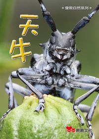 天牛 出版公司:親親文化 作者:李季篤 類型:親子童書-兒童學習 PDF電子書 繁體中文版