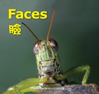 臉 [有聲書] 出版公司:親親文化發行科公館親子書城總代理 作者:何佳芬 類型:親子童書-兒童學習 有聲書(含PDF電子書) 繁體中文版