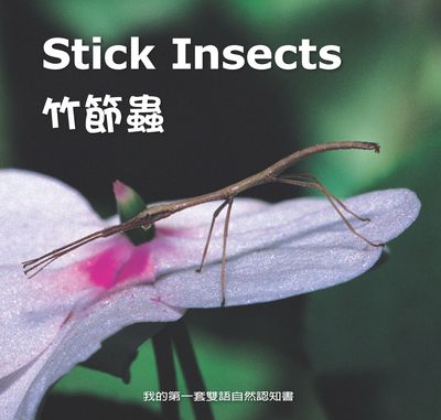 竹節蟲 [有聲書] 出版公司:親親文化發行科公館親子書城總代理 作者:劉書玉 類型:親子童書-兒童學習 有聲書(含PDF電子書) 繁體中文版