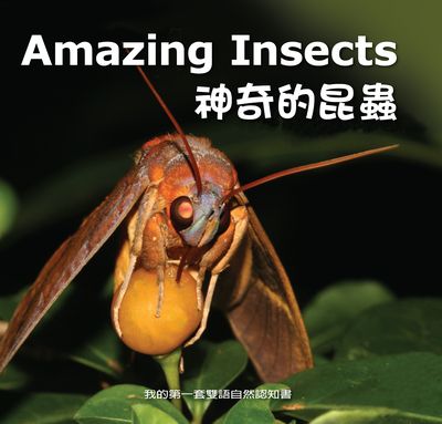 神奇的昆蟲 [有聲書] 出版公司:親親文化發行科公館親子書城總代理 作者:何佳芬 類型:親子童書-兒童學習 有聲書(含PDF電子書) 繁體中文版