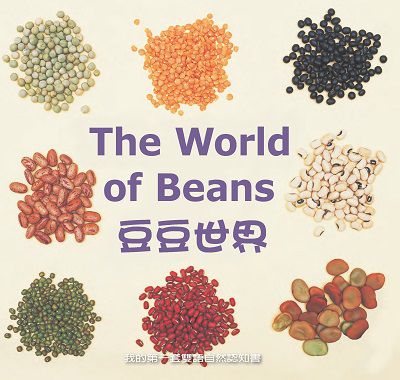豆豆世界 [有聲書] 出版公司:親親文化發行科公館親子書城總代理 作者:劉書玉 類型:親子童書-兒童學習 有聲書(含PDF電子書) 繁體中文版