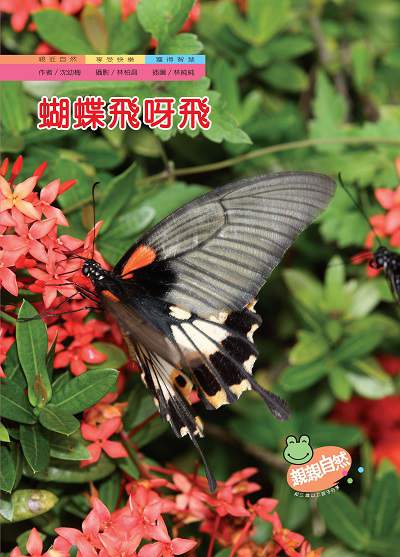 蝴蝶飛呀飛 出版公司:親親文化 作者:沈幼梅 類型:親子童書-兒童學習 PDF電子書 繁體中文版