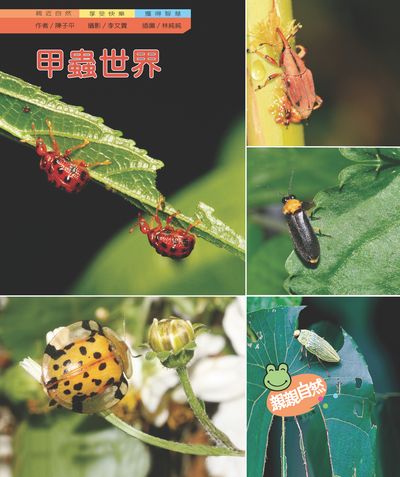 甲蟲世界 出版公司:親親文化 作者:陳子平 類型:親子童書-兒童學習 PDF電子書 繁體中文版