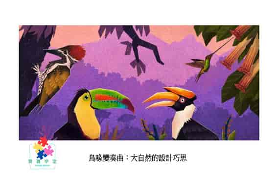 鳥喙變奏曲[有聲書]:大自然的設計巧思 出版公司:好書多教育科技有限公司 作者:羅漢 . 達霍特雷 (Rohan Dahotre) 類型:親子童書-兒童繪本 有聲書(含PDF電子書) 繁體中文版