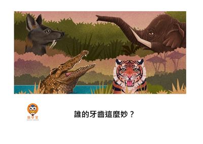 誰的牙齒這麼妙?[有聲書] 出版公司:好書多教育科技有限公司 作者:羅翰. 達霍特 (Rohan Dahotre) 類型:親子童書-兒童繪本 有聲書(含PDF電子書) 繁體中文版