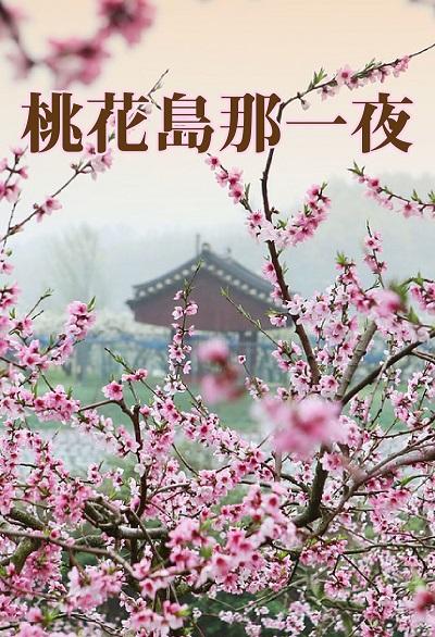 桃花島那一夜(說書) [有聲書] 出版公司:聲朗文化/愛播聽書FM 作者:聲朗化 類型:文學小說-中文現代文學 語音教學 中文發音 繁體中文版